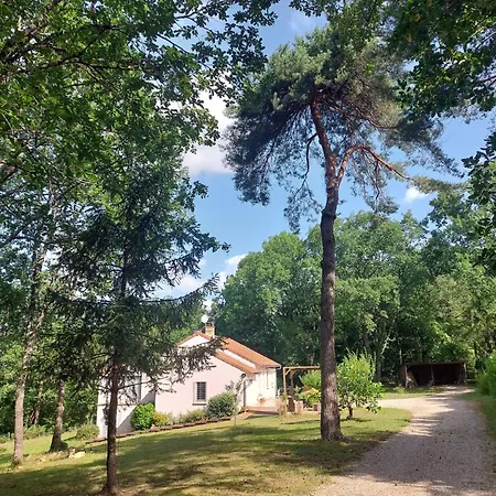 Andre- Lovely House